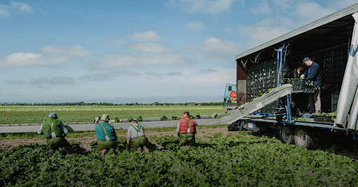 kupowanie używanych maszyn
